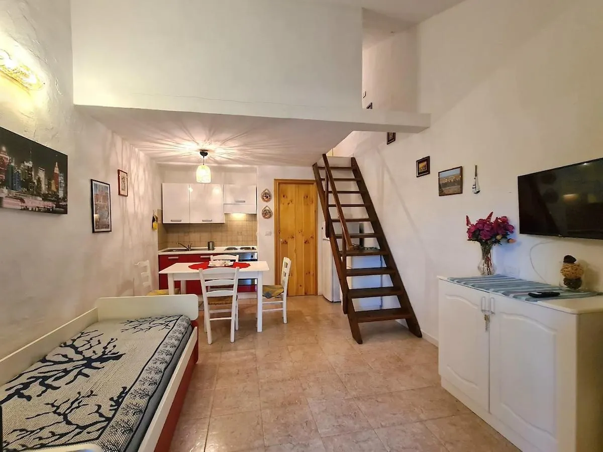 Mores' Home -Shared Pool- Sole Ruiu
